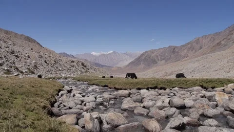 A river valley high in the mountains Stock Footage 130217628