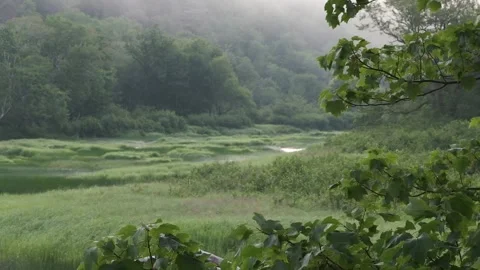 River Valley Mid Summer Light On Water Stock Footage 339326855