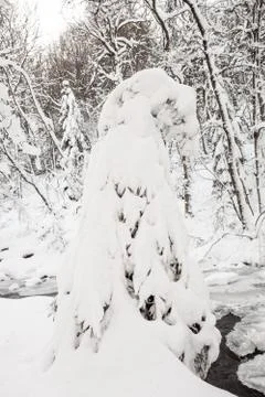 River in the valley Stock Photos