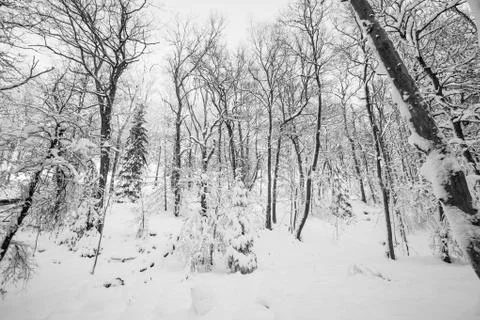 River in the valley Stock Photos
