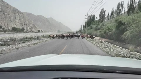 River Valley Road Through Barren Mountains in Southern Xinjiang China Stock Footage 339805826