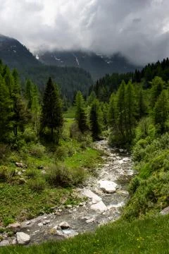 River Valley Surrounded by Trees Stock Photos