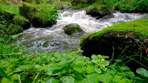 River in valley thurytal Stock Footage 126819132