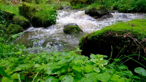 River in valley thurytal Vidéo 126819242