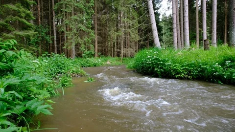 River in valley thurytal Stock Footage 126819317