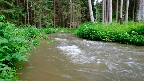 River in valley thurytal 스톡 동영상 126819359