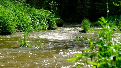 River in valley thurytal 스톡 동영상 126819402