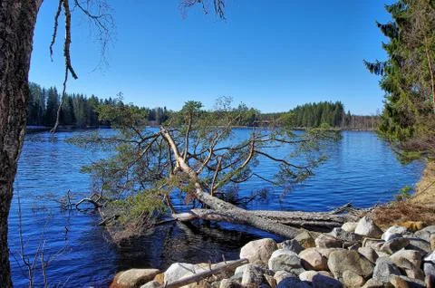 River Västerdalälven Stock Photos