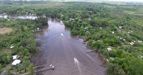 River vegetation drone Video stock 97957717