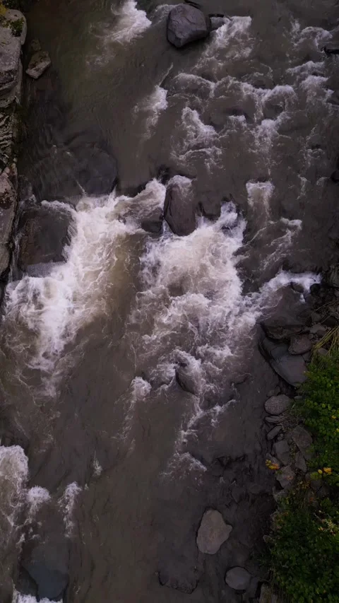 River vertical shot with Fall foilage Stock Footage 253595097