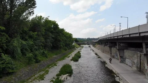 River vienna with landscape view, trees and freedom Stock Footage 116718523
