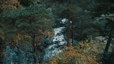 River view from above the middle of the forest Vídeos de archivo 95041785