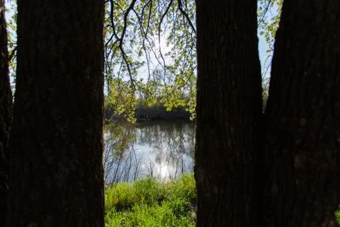 River view between trees, nature Stock Photos