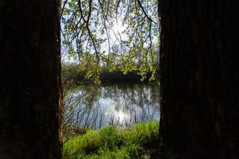 River view between trees, nature Stock Photos