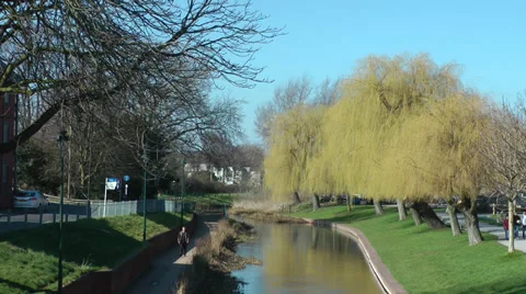 River view from bridge in summer with willow trees HD Video stock 36065310
