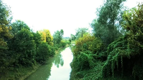 River view (Bright colors) Stock Footage 117418809