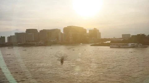 River view of Chaopraya river with sunset Stock Footage 73799253