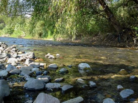 River view in first plane Stock Photos
