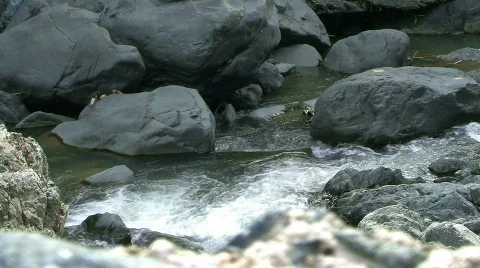 River View Видео 238205