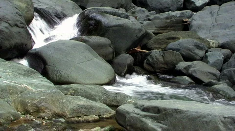 River View 库存影片 264271