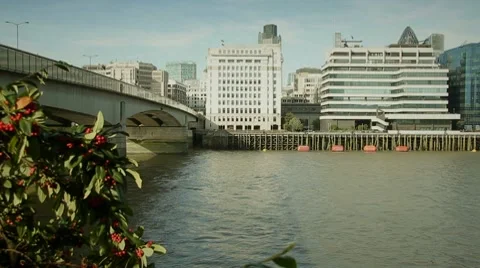 River view Video stock 8684775