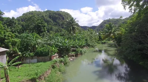 River view  Stock Footage 66335856