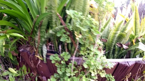 River view Видео 92194299