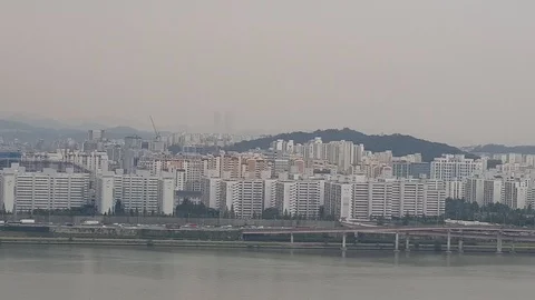 River view Video stock 95565704