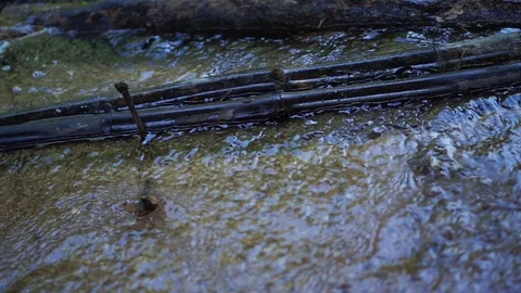 River View 库存影片 127871079