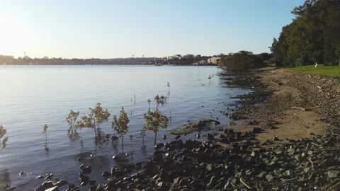 River view Stock-Footage 138220430