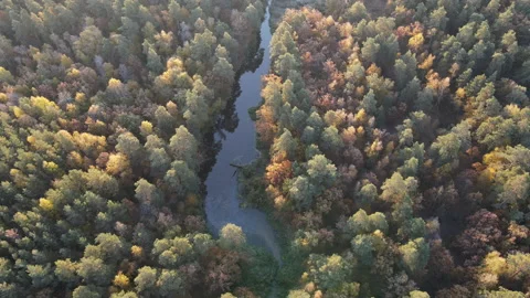 River view Stock Footage 162780688