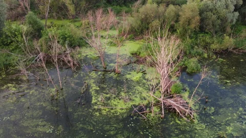 River view Stock Footage 163484480