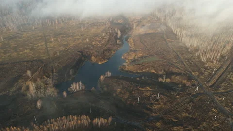 River view Stock Footage 164416325