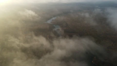 River view Stock Footage 164417034