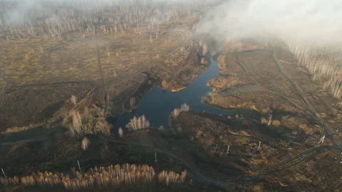 River view Stock Footage 164417097