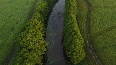 River view Stock Footage 166591966