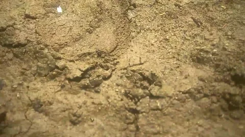 River view Stock Footage 169463841