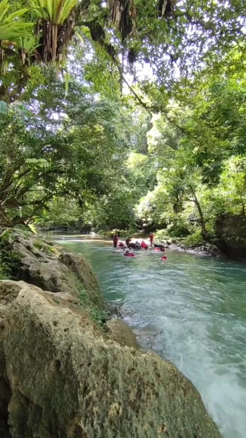 River View Stock Footage 171384882