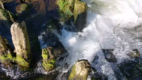 River view Stock Footage 200819064