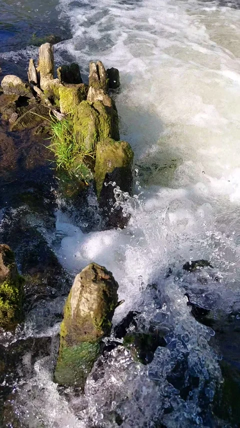 River view Stock Footage 200819067