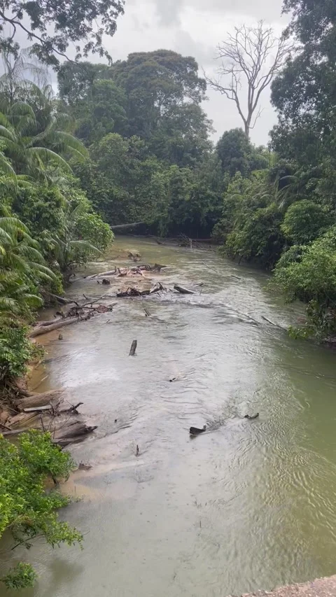 River view Stock Footage 206008718