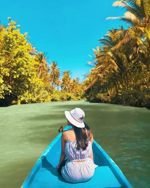 RIVER VIEW Video stock 234916846