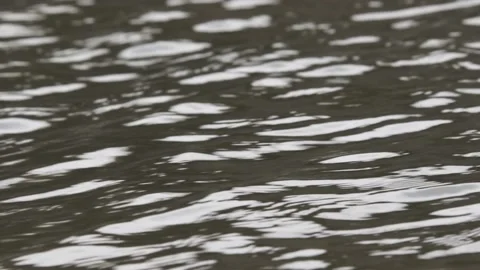 River view Stock Footage 235170746