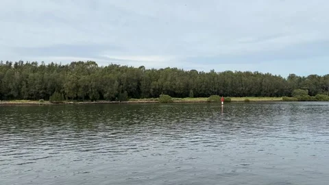 River view Stock Footage 319926548