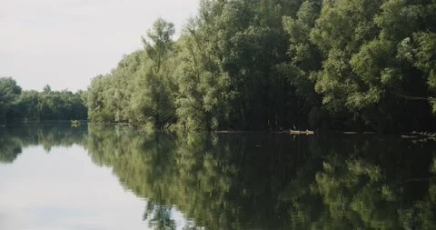 River view in late summer Vídeos de archivo 204986011
