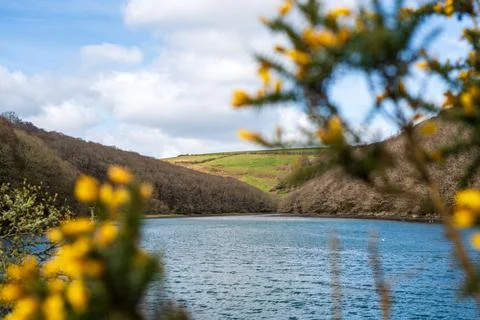 River view in Looe Cornwall framed by foliage England countryside Stock Photos