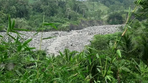 River View Now Stock-Footage 331813961