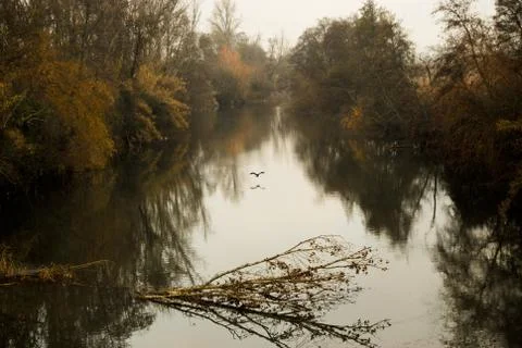 River view Stock Photos