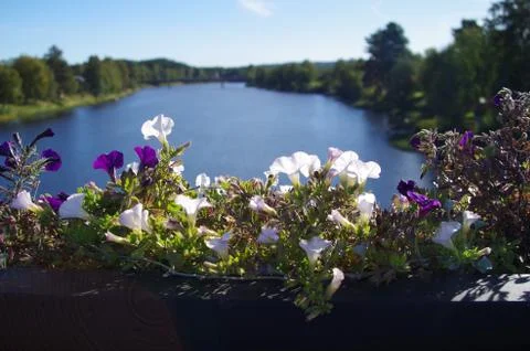 River view Stock Photos