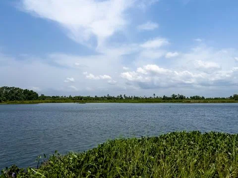 River view Stock Photos